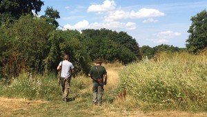 Obyvatelia spozorovali v Senci veľkú šelmu. Hľadali ju policajti i poľovníci