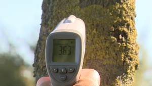 Tieto dni by sme sa máli strániť slnka. Čakajú nás tropické dni aj noci