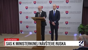 Tlačová beseda strany SaS k ministerkinej návšteve Ruska