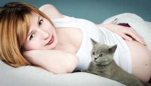 Toxoplazmóza a tehotenstvo: Musím sa vzdať mojej mačky?