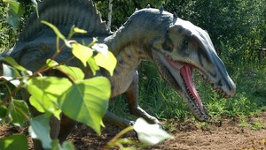 Vetry dinosaurov podľa vedcov spôsobili oteplenie Zeme