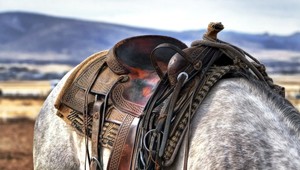 Toto by vám o kovbojoch ani vo sne nenapadlo