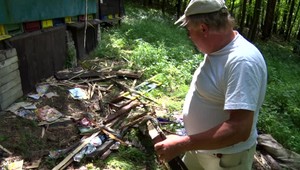 Medveď opäť vyčíňal neďaleko Prievidze. Včelárovi zničil úle