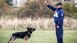 Zlodej mal smolu, policajný pes ho chytil priamo pri čine