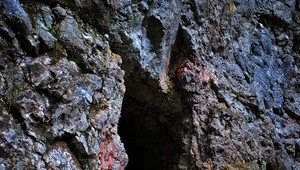 V opustenej bani objavili desivého tvora: Napadol jedného z vedcov!