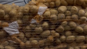 Ministerstvo asi zruší projekt za takmer milión eur