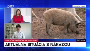 Štúdio 24: Aktuálna situácia s nákazou