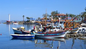 Pre podozrenie na rádioaktívny materiál evakuovali prístav