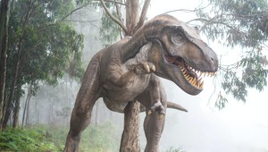 Ľudstvo sa zahráva s ohňom: V tajnom laboratóriu pracujú na vytvorení skutočného Jurského parku