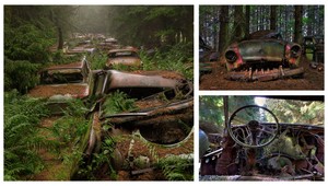 Záhada belgického lesa. Dopravná zápcha trvá už 70 rokov