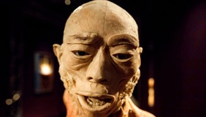 Petržalka kontroverznú výstavu Human Body nezakáže