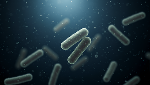 Smrteľný "požierač mozgov" opäť útočí: Na amébu zomrelo dievčatko, o život bojuje aj bábätko