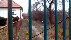 Štefana dobili dvaja bratia, do rán mu nasypali soľ