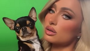 Paris Hilton hľadá milovanú čivavu. Kto ju nájde, dostane ŠIALENÉ peniaze!