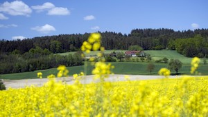 Čaká nás krásny víkend. Takto nás prekvapí nedeľa!