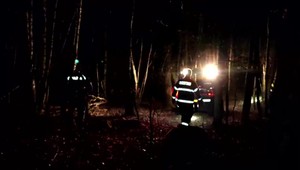 Záhadná smrť ženy: Jej telo našiel študent v lese