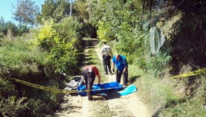 Pri Hlohovci pes zabil človeka