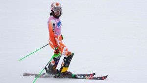 Z Rakúska na Balkán. Minuloročné fiasko v Záhrebe sa opakovať nemá