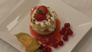 Dezert: Krvavé stopy v snehu