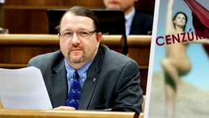 Holé dievča poškodzuje vývoj chlapcov, tvrdí Šripek