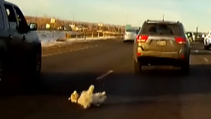 Beštiálny čin slovenských vodičov: Z idúcich vozidiel vyhadzujú nechcených psov