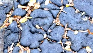 Koniec toxínom, kameňolom Srdce vyčistia