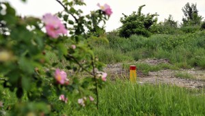 Skládka v Bratislave obsahuje chemické látky, ohrozujúce život