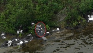 Polícia šialeného vraha zneškodnila zo vzduchu