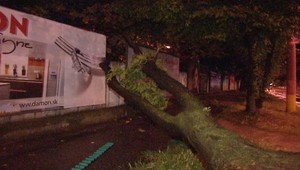 Šok na stanici! Strom sa zrútil na ľudí