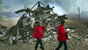 Pod troskami zrútenej budovy objavili živé šesťmesačné dieťa
