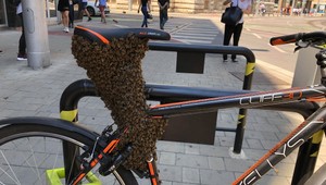 VIDEO: Bicykel ovládol roj včiel. Polícia opáskovala miesto v centre Bratislavy