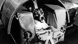 Vzácne výročie: Pred 60. rokmi Lajka ako prvá živá bytosť letela do vesmíru