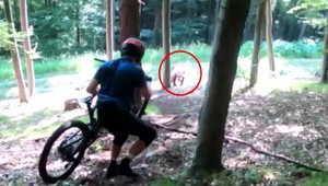 VIDEO: Horských cyklistov vystrašila medvedica s mláďaťom