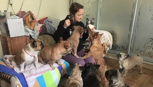 Táto žena riskuje vlastný život: Zachraňuje vo vojne psov!