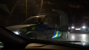 Medveď vystrašil obyvateľov. Mesto Žilina vyhlásilo mimoriadnu situáciu