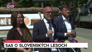 Tlačová beseda SaS o slovenských lesoch