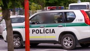 ROZHOVOR: Nitrianska policajtka zrazila mňa aj psíka a pokojne odišla