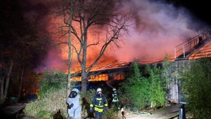 Polícii sa prihlásili tri ženy, ktoré zrejme môžu za smrť zvierat v nemeckej ZOO