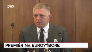 Vyjadrenie premiéra Fica na eurovýbore