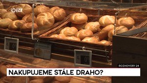 Rozhovory 24: Nakupujeme stále draho?