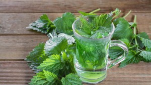 Čo dokáže obyčajná žihľava s vaším telom? Poradí si s únavou, akné aj s vlasmi