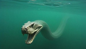 Príšera v najväčšom aljašskom jazere: Žiadny reklamný trik