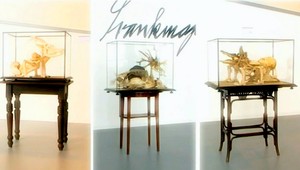 Také zviera neexistuje! Pozrite si kosti morskej kozy na vlastné oči