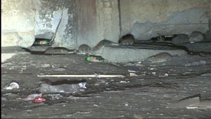 Na Luníku IX bojujú potkany o kúsok potravy