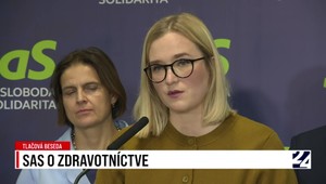 Tlačová beseda strany SaS o situácii v zdravotníctve