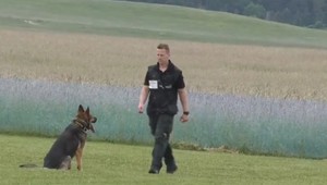 Štvornohí policajti zachraňujú životy. V službe strážia aj svojho ľudského kolegu