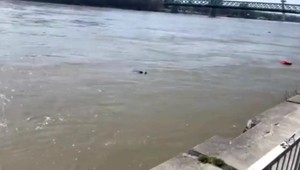 Policajti zachraňovali staršiu pani z Dunaja