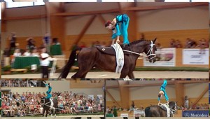 Voltíž sa predviedla Slovákom, na Rozálke európska elita