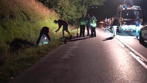 Mladý Slovák pri predbiehaní zrazil chodca, ktorý tlačil bicykel. Ten po náraze zomrel