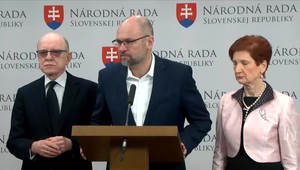 Neférové zastropovanie cien: SaS podala podnet na Protimonopolný úrad